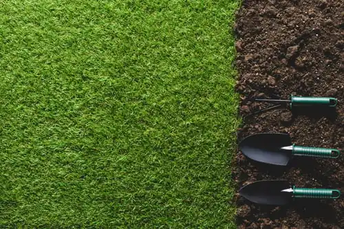 Artificial turf vs. sod for Ottawa yards: an honest comparison