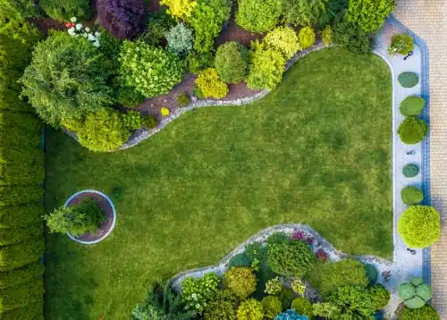 Insights from Cartagena Landscaping Ltd